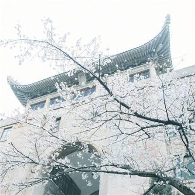 浪漫中国 | 徽派古建筑的“岁月密码”